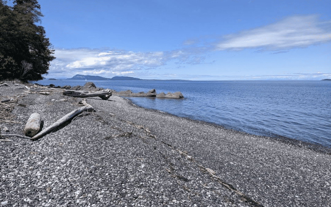 Rocky beach in the Pacific Northwest with blue skies and clouds