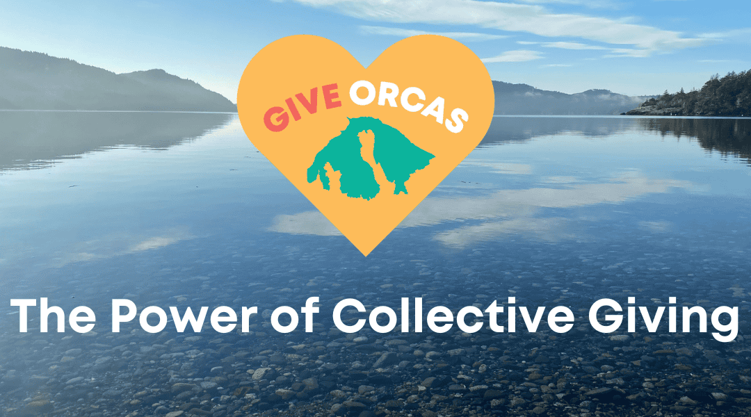 GiveOrcas: The Power of Collective Giving