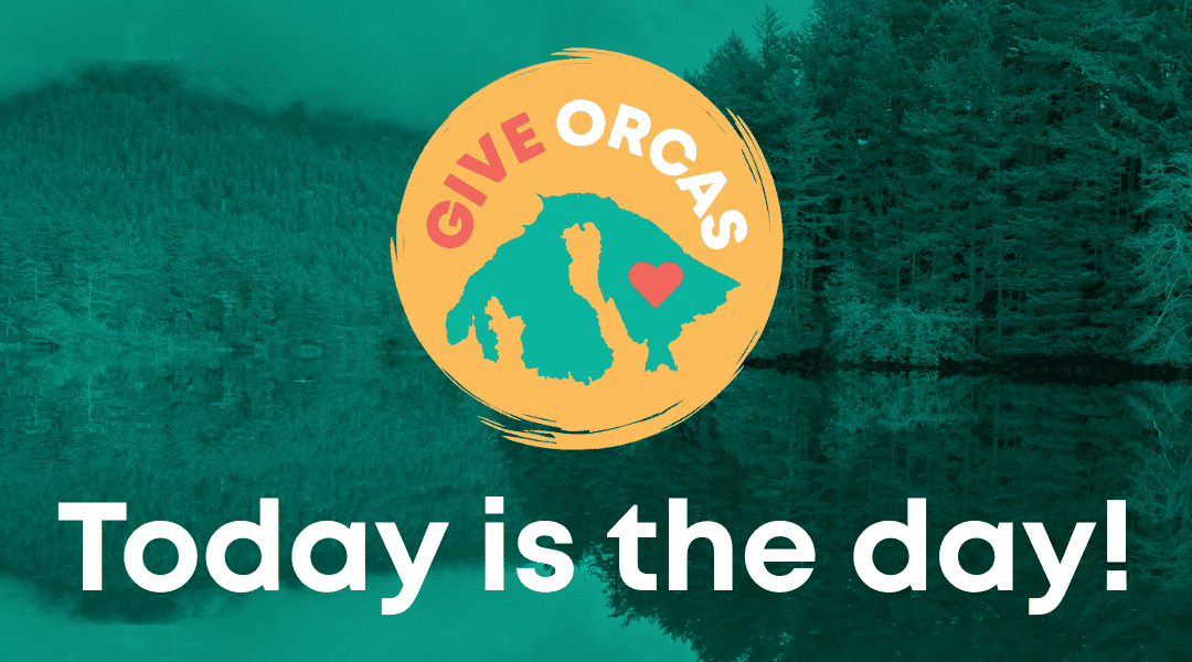 Spring GiveOrcas is Open!