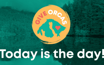 Spring GiveOrcas is Open!