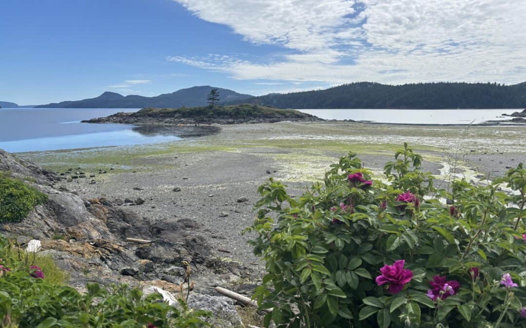 Low Tide at Eastsound Waterfront Park