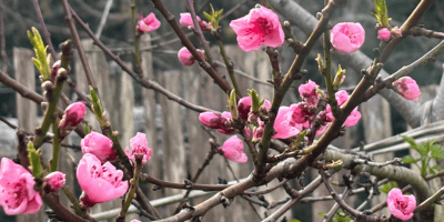 Spring Brings New Programs and Partnerships