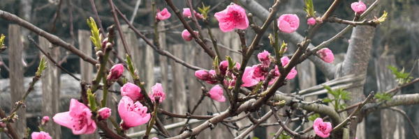 Spring Brings New Programs and Partnerships