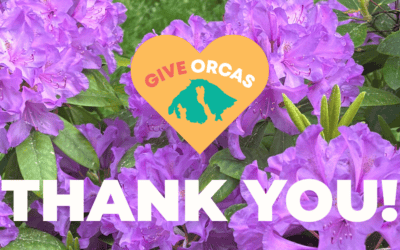 Blooming with Gratitude